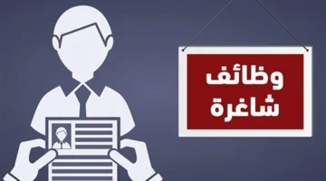 رواتب 25 ألف جنيه.. التضامن تطرح فرص عمل جديدة لذوي الهمم في مصر